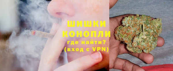 прущие грибы Абаза