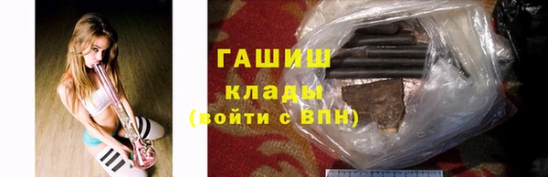 стаф Алексин
