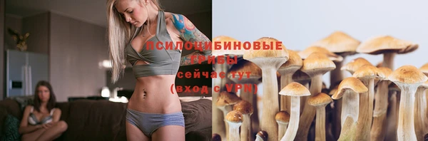 прущие грибы Абаза