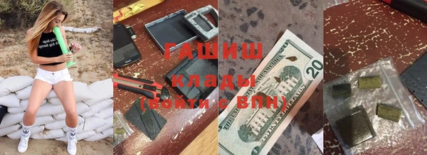 прущие грибы Абаза