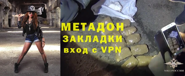 прущие грибы Абаза
